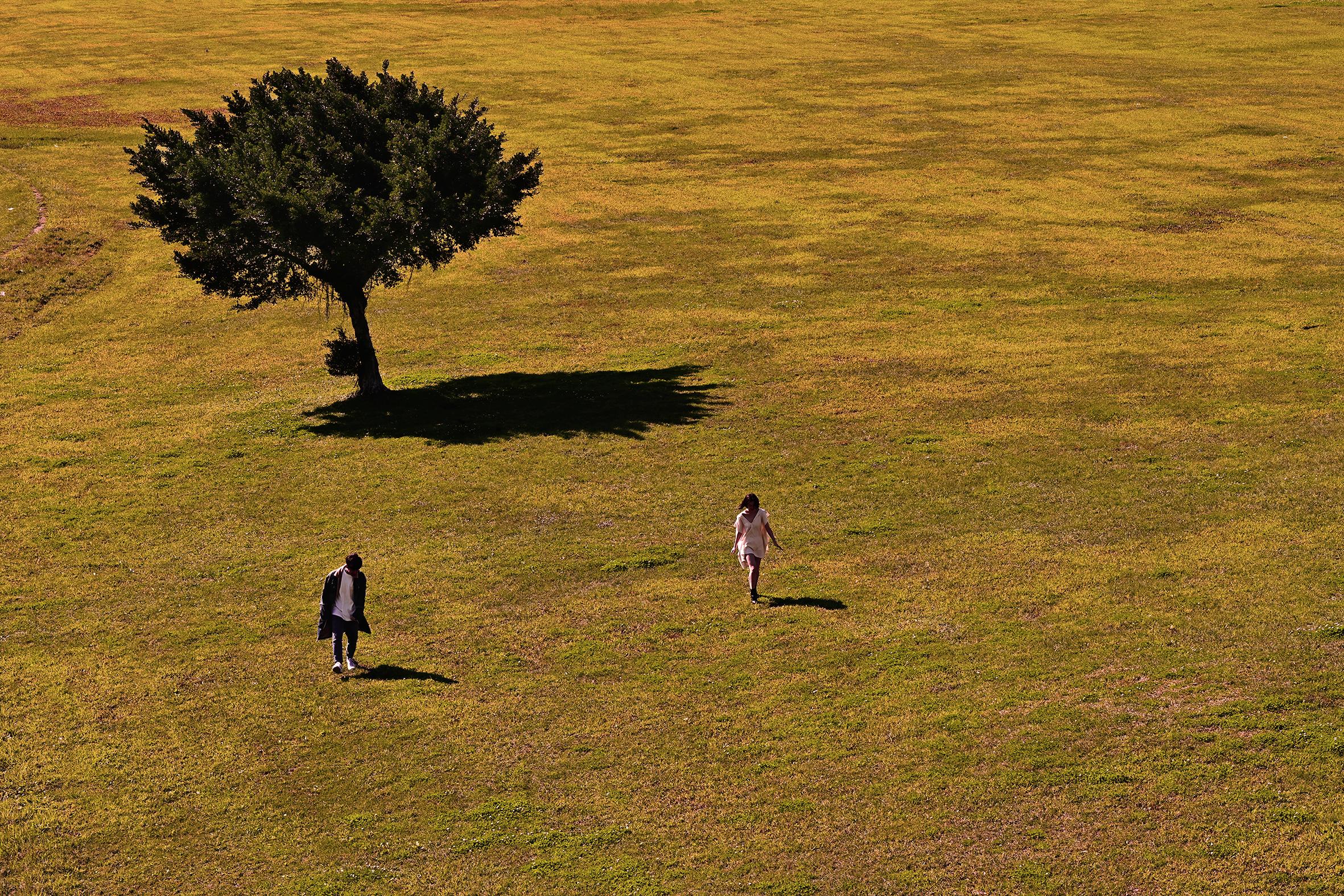 台北 認識的小女孩長大了