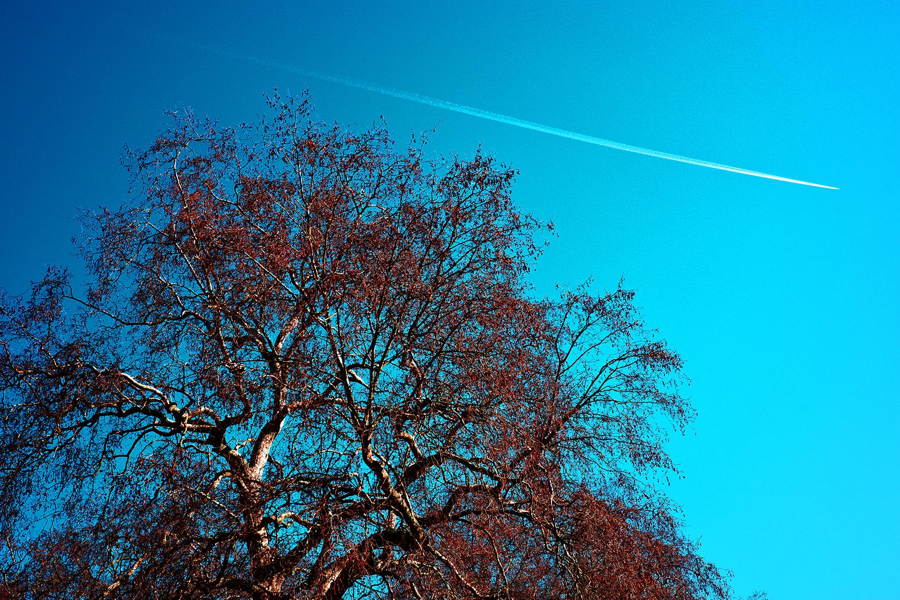 倫敦 可以追著青春吧