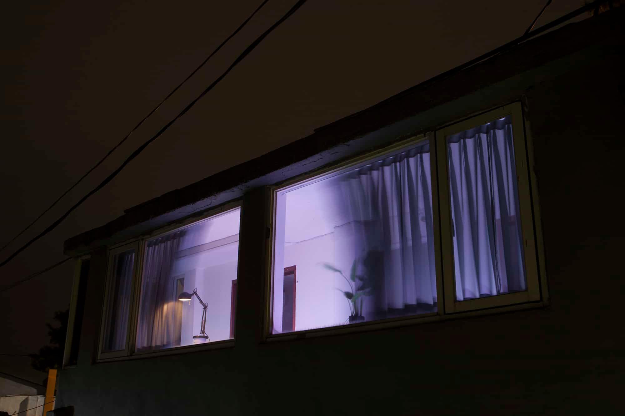 Picture of the artwork