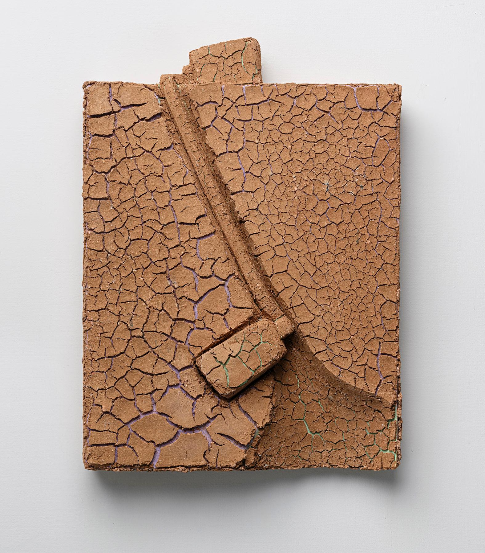 番茄種子通過身體發芽