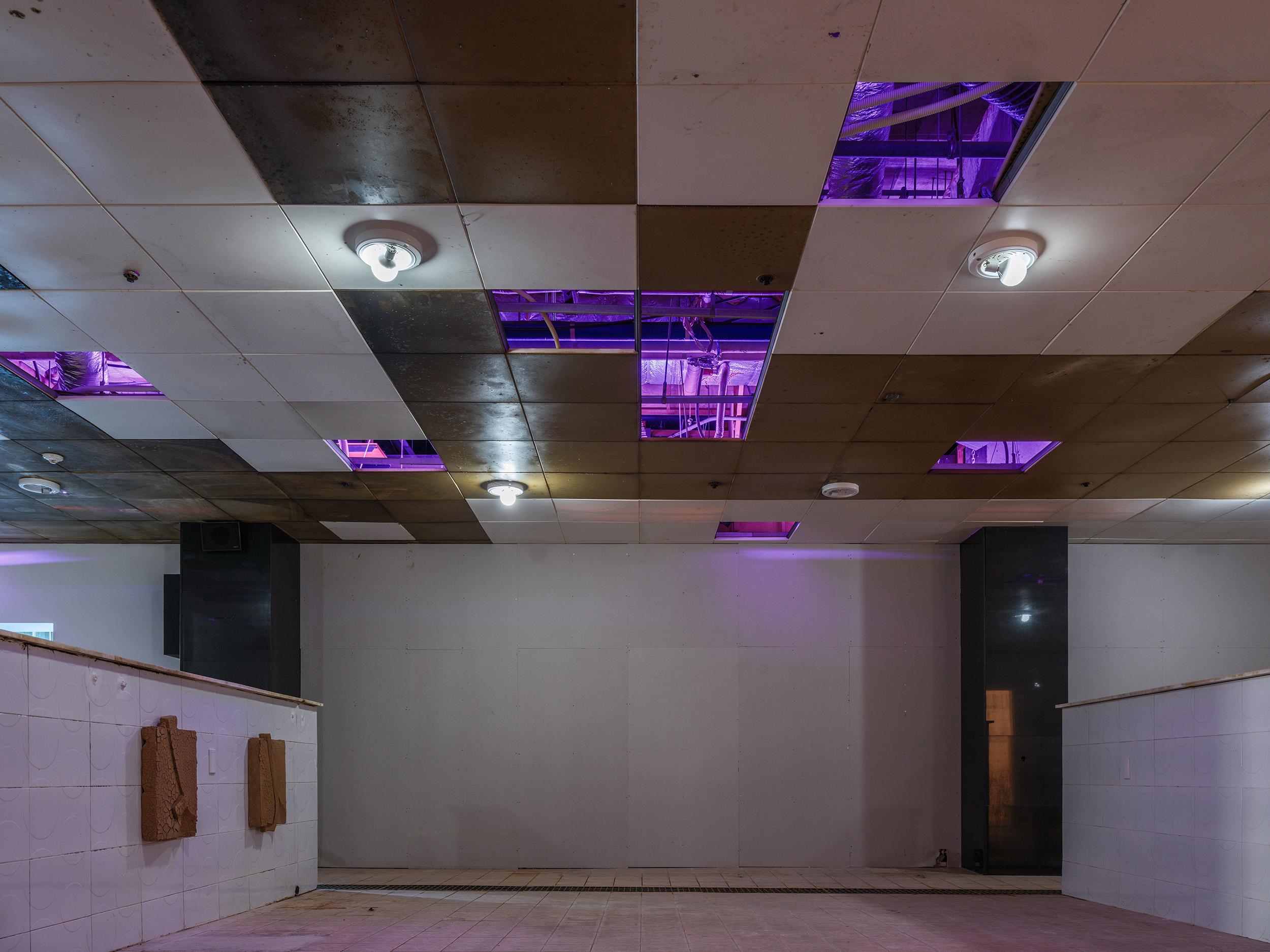 Picture of the artwork