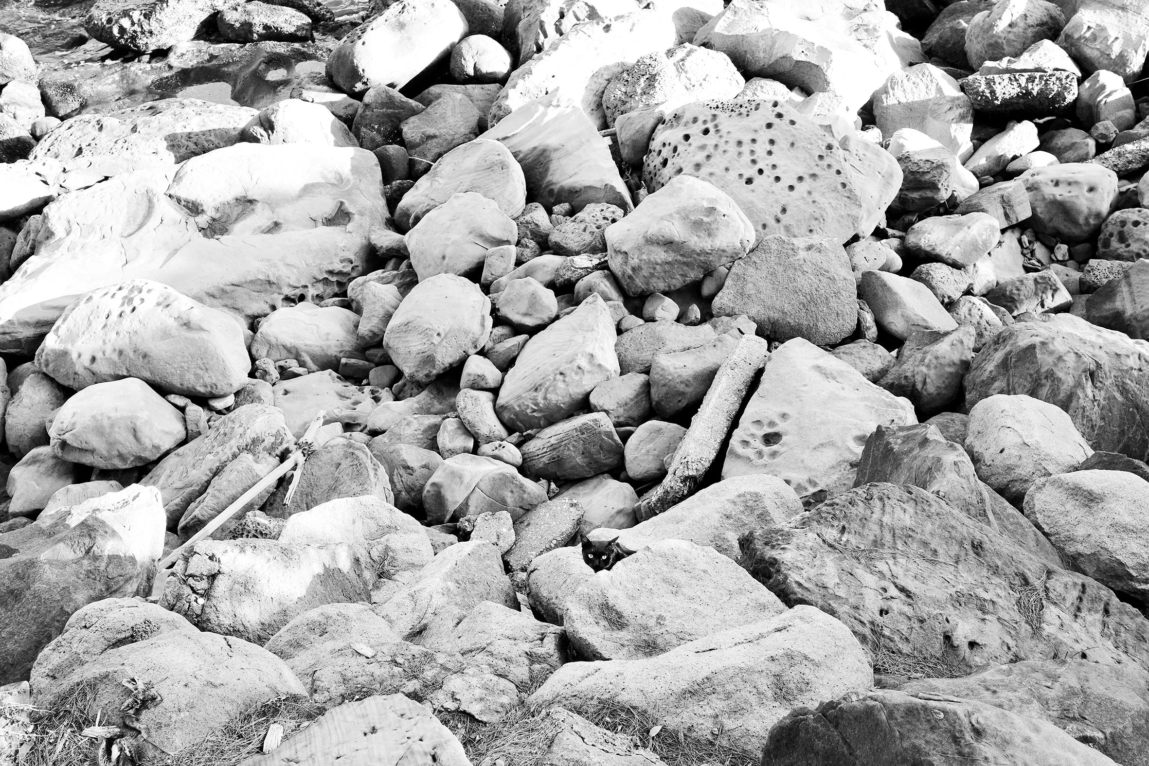 萬里 消失的海邊泳池,有小黑在