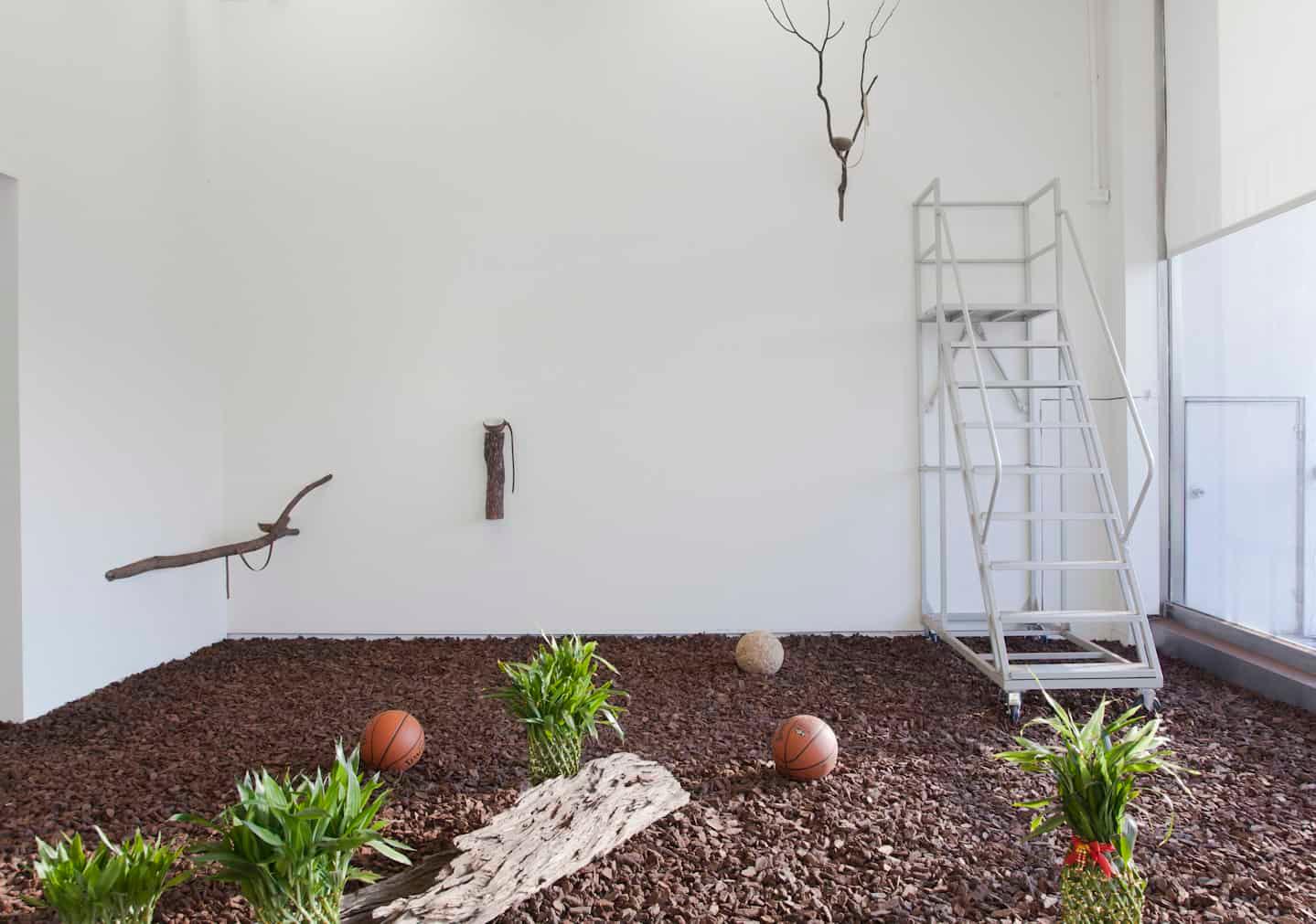 《飼養箱》(旺來)、(鳥巢)、(苔球)