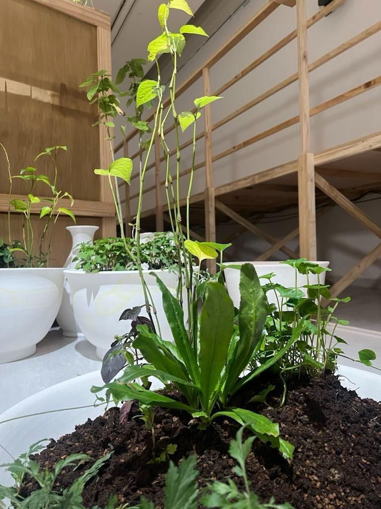 Picture of the artwork