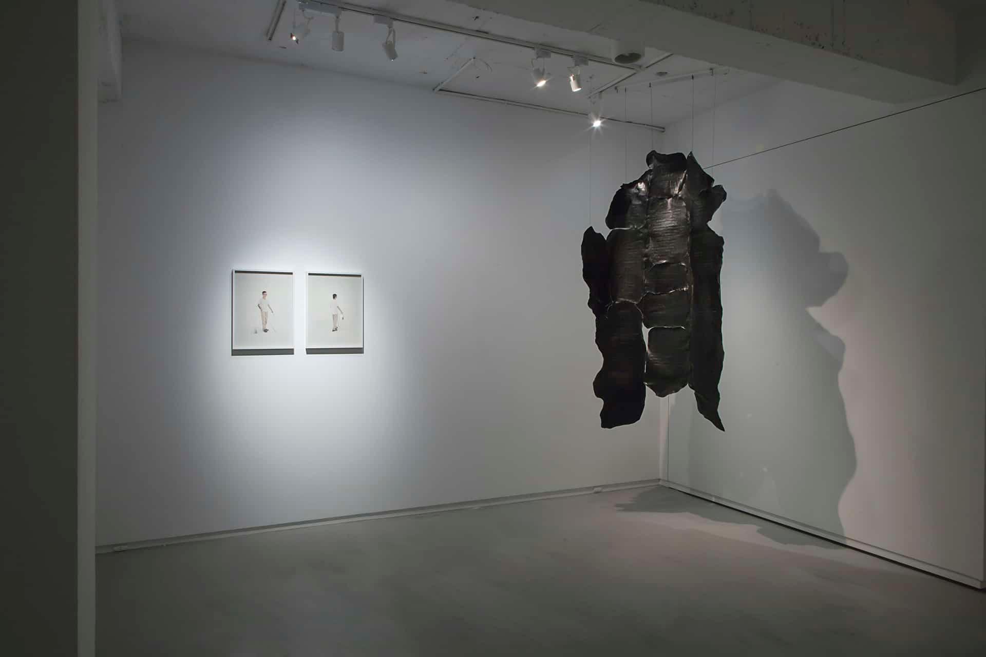 Picture of the artwork