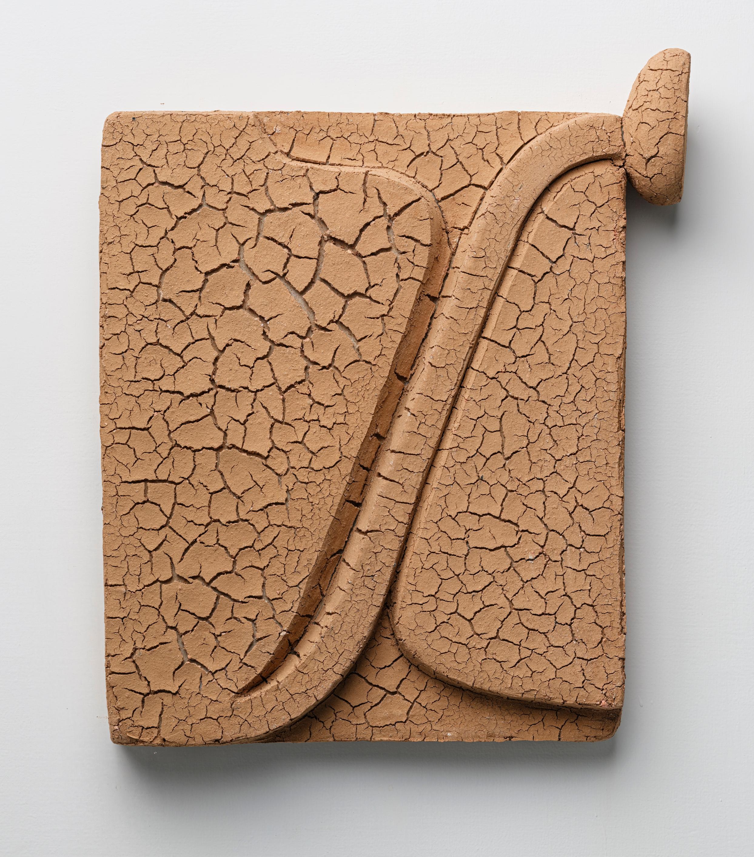 番茄種子通過身體發芽