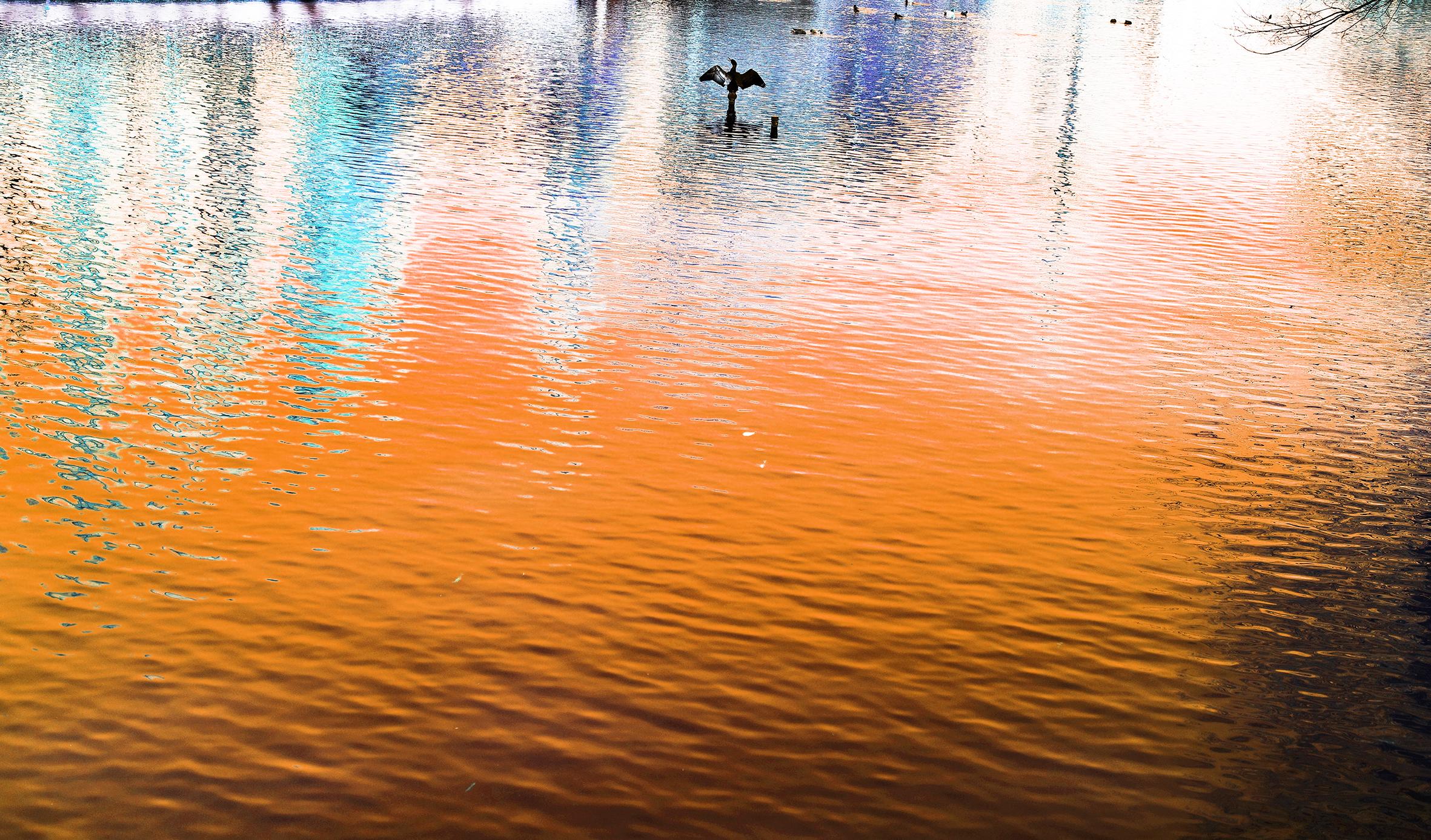 東京 相機是一種幻術