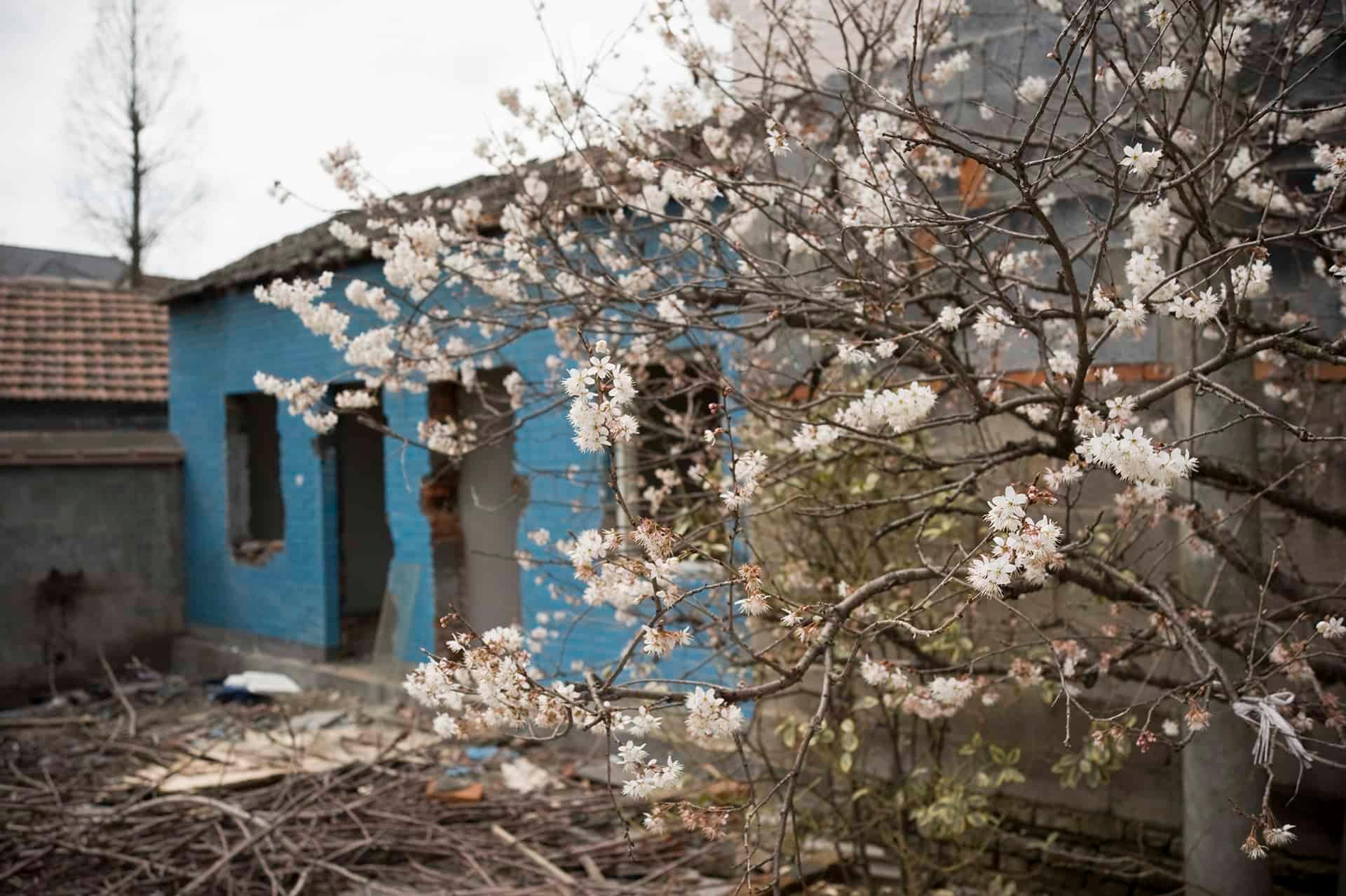 Picture of the artwork