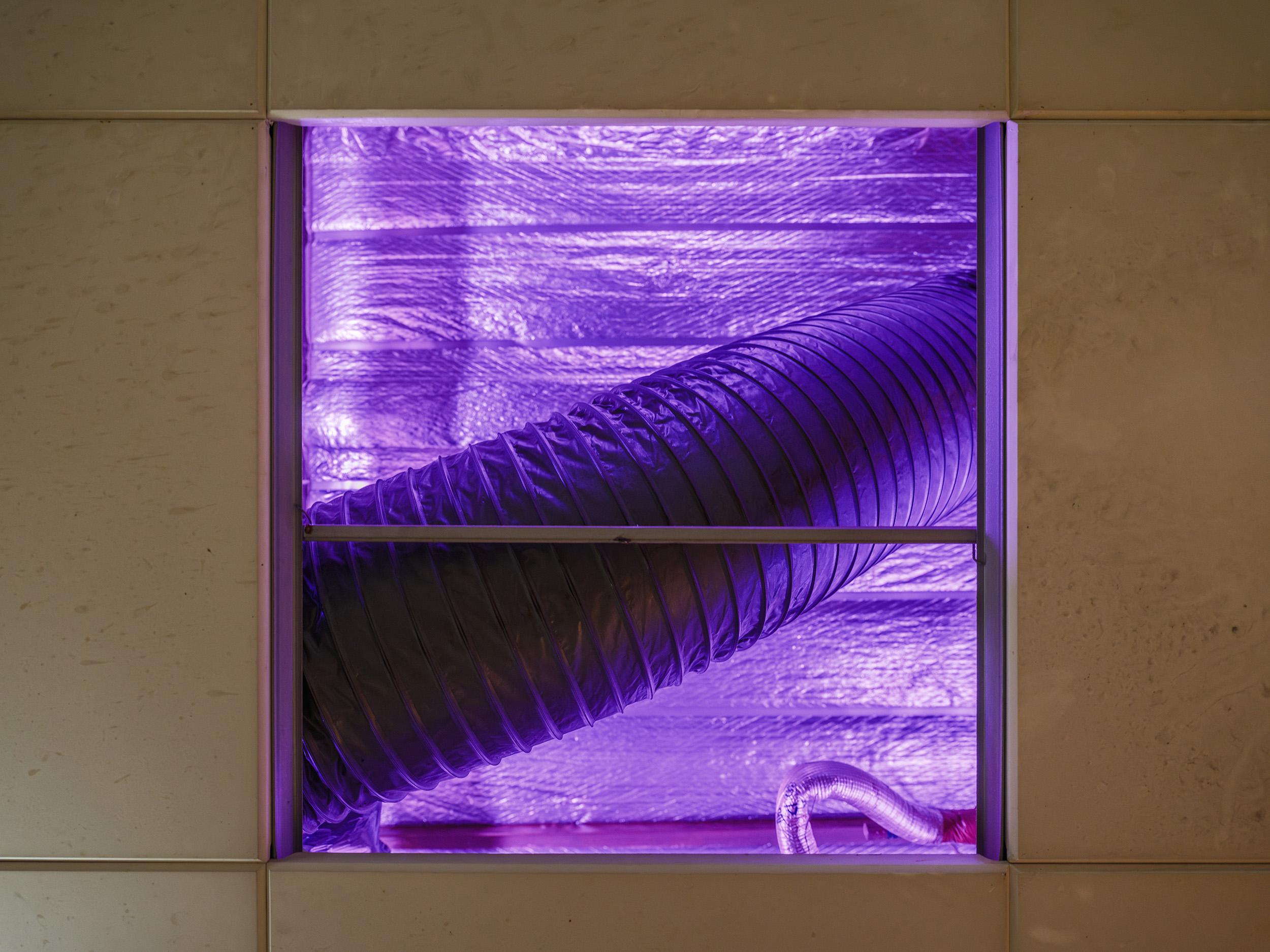 Picture of the artwork