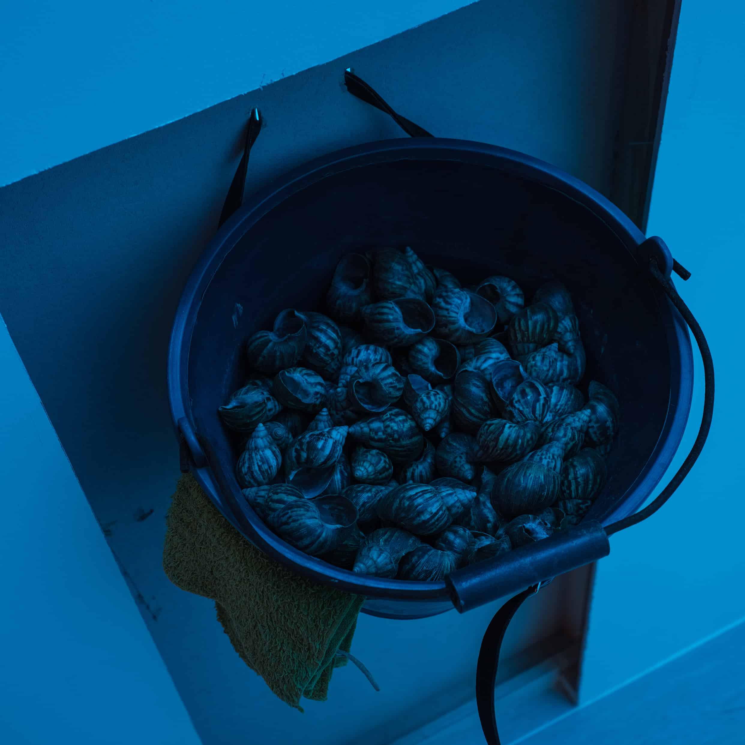 像是一個夜店的小便斗