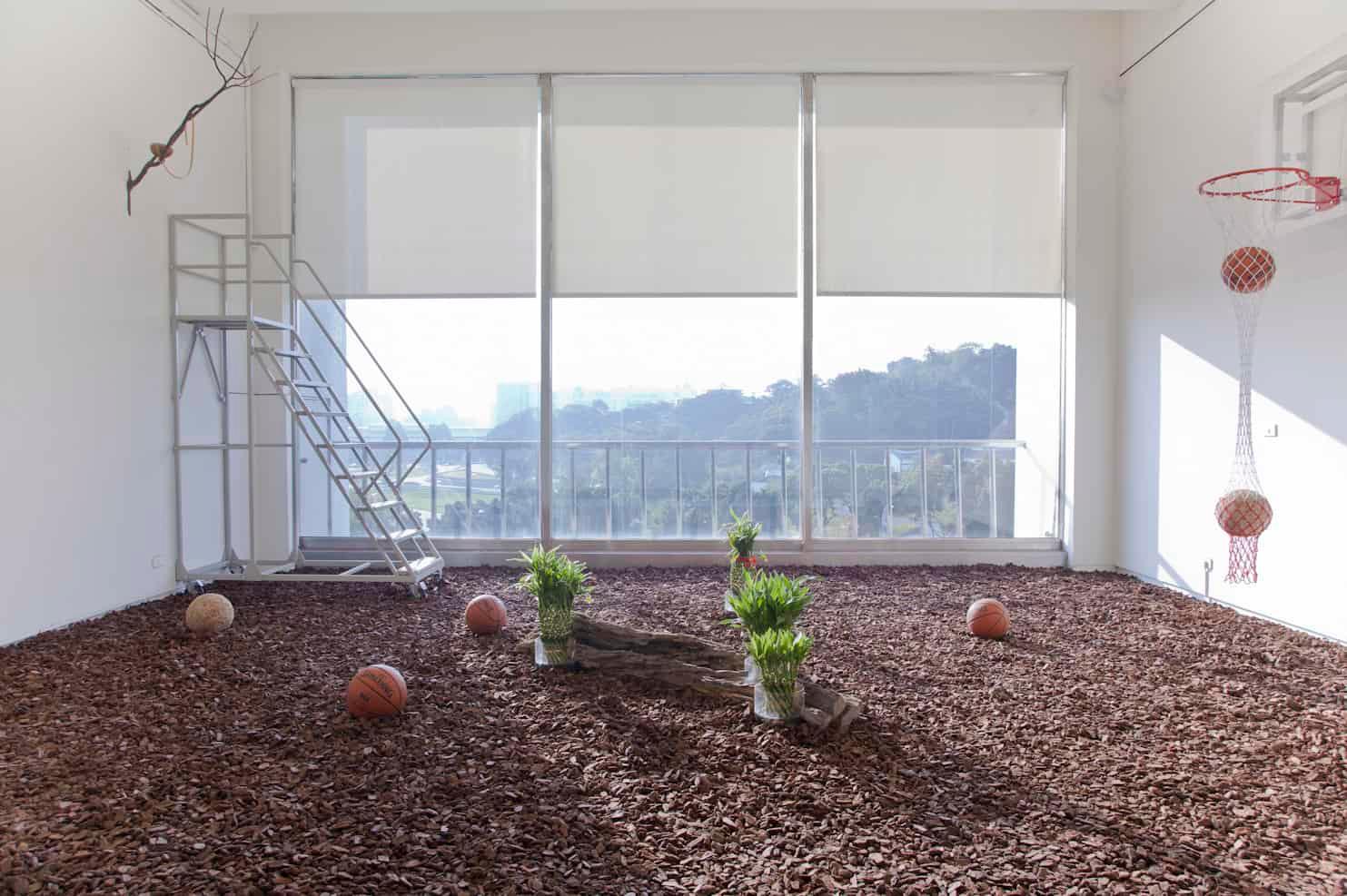 《飼養箱》(旺來)、(鳥巢)、(苔球)