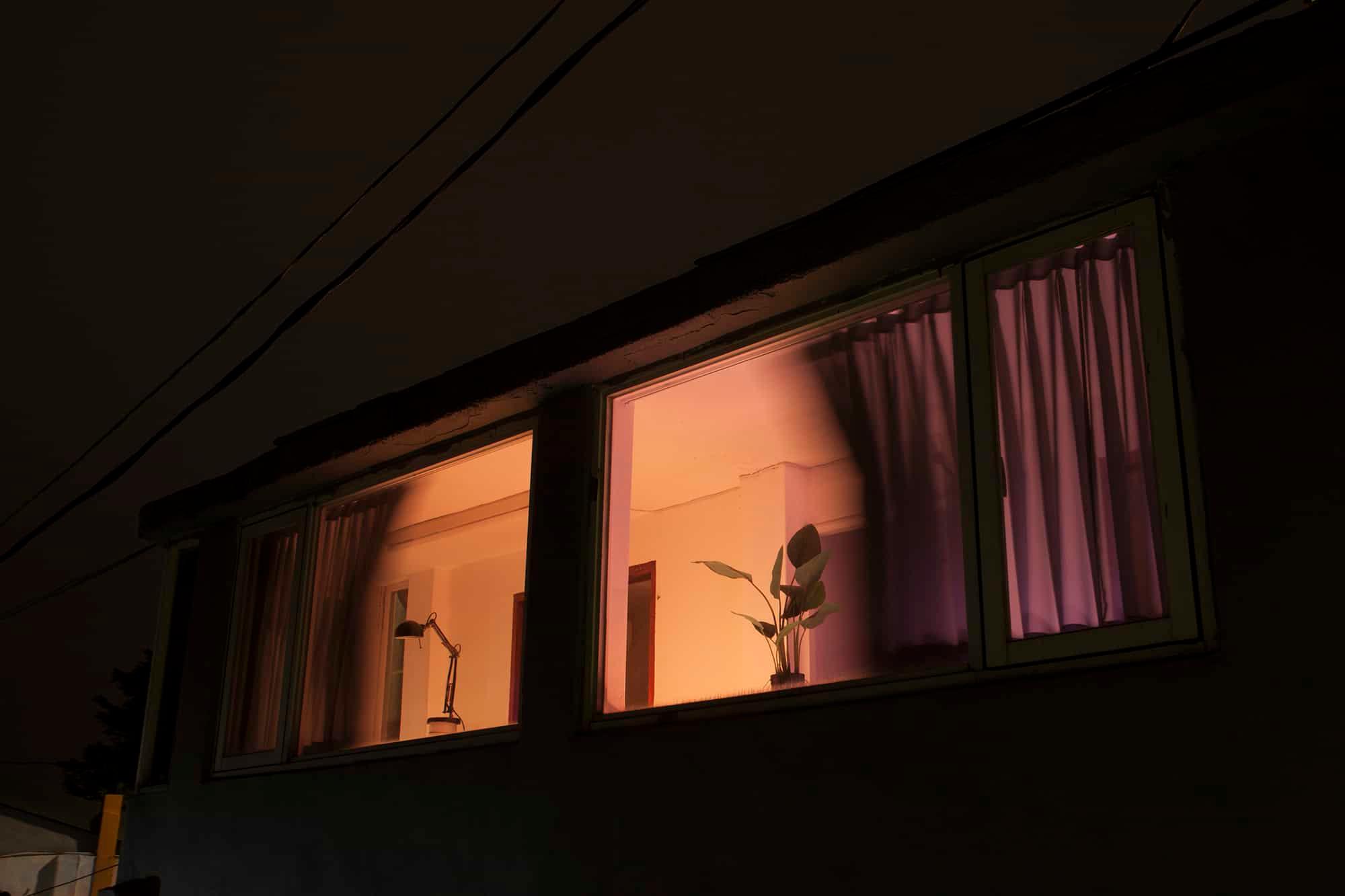 Picture of the artwork