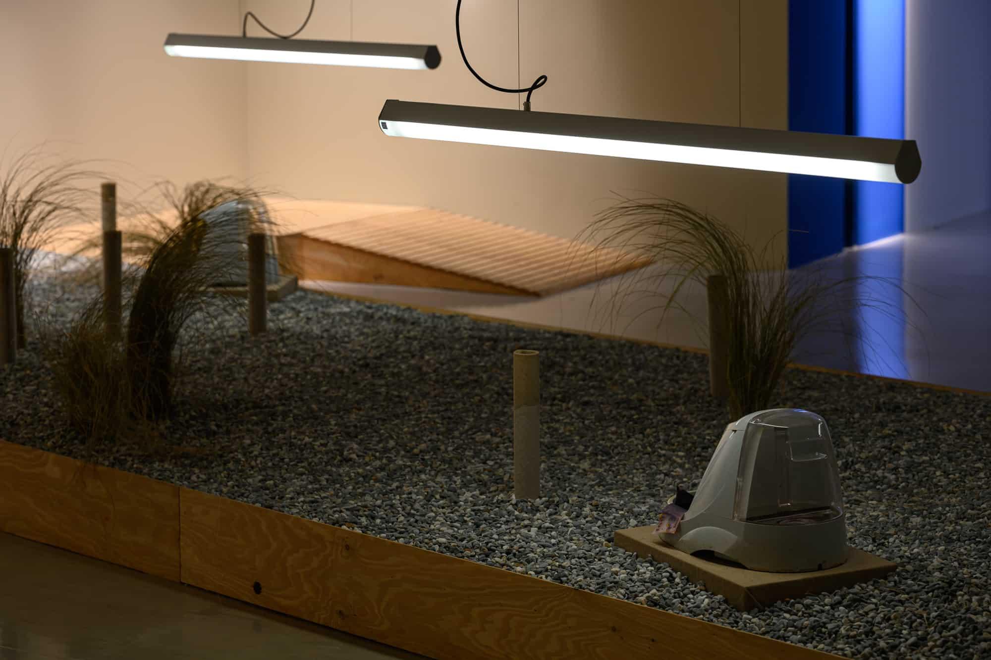 Picture of the artwork