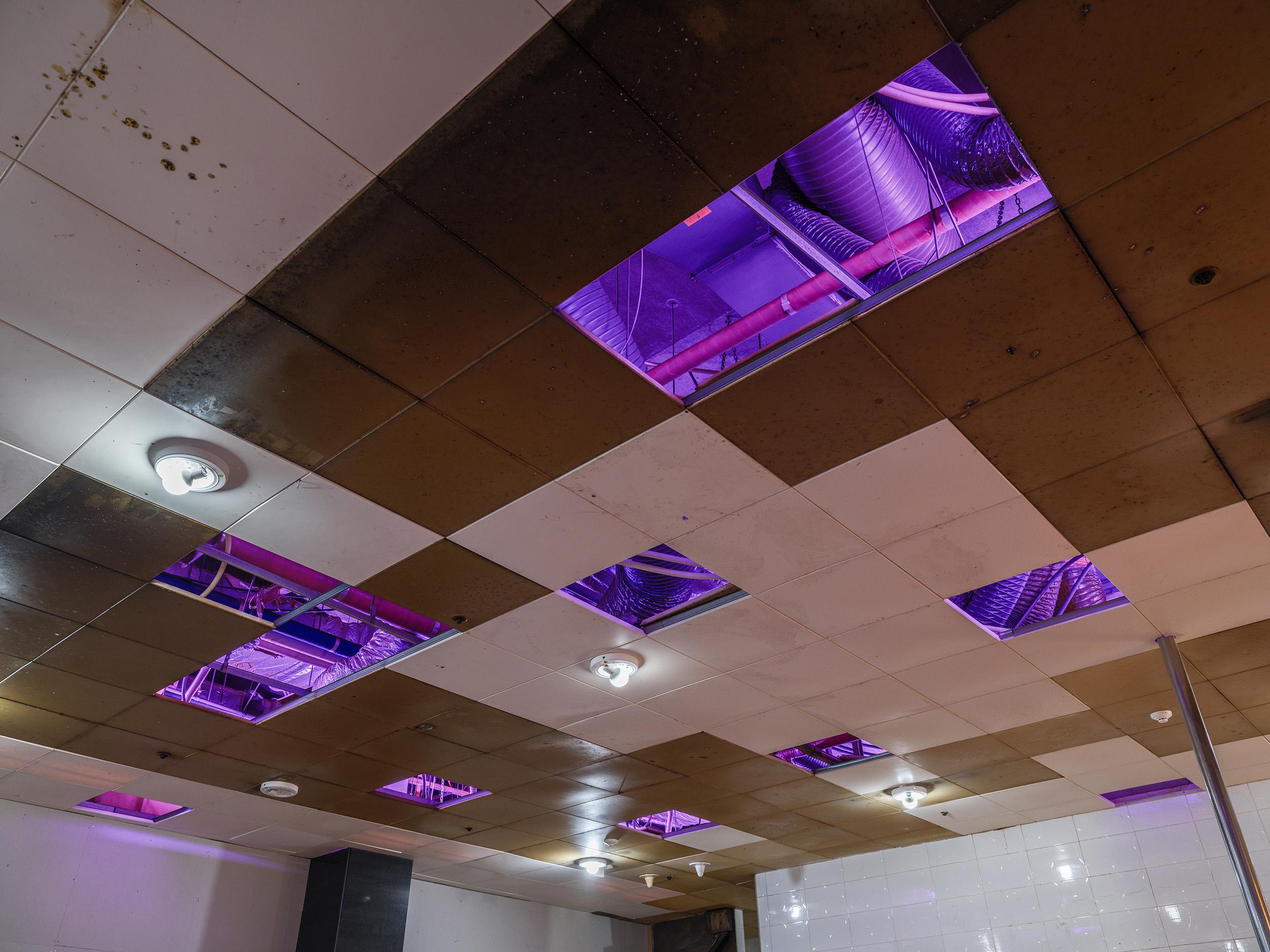 Picture of the artwork