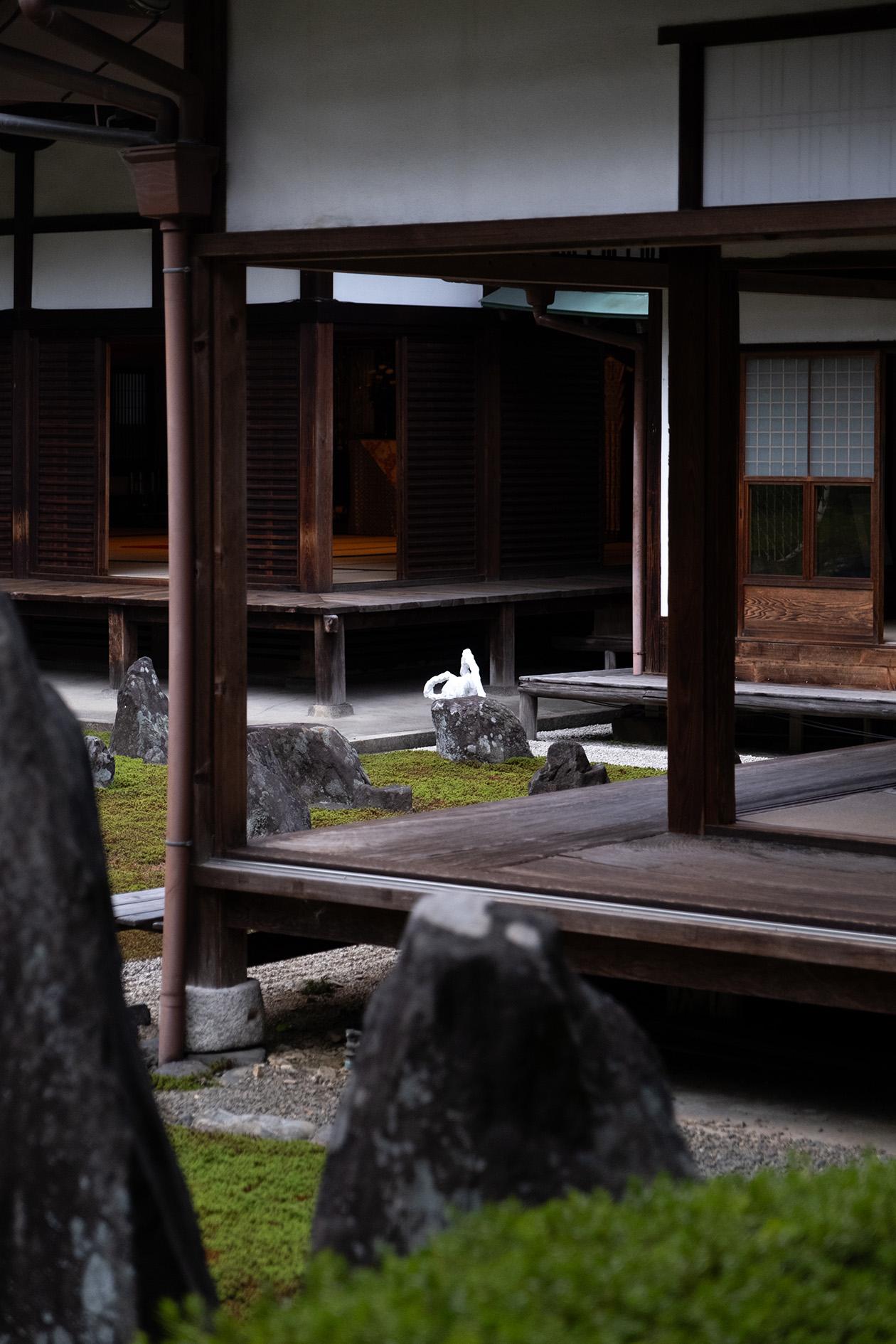 Picture of the artwork