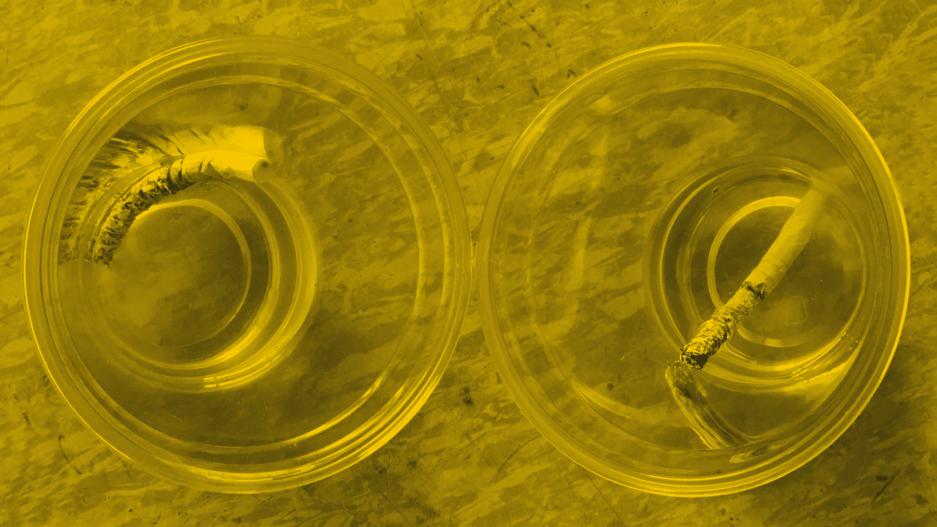 Picture of the artwork