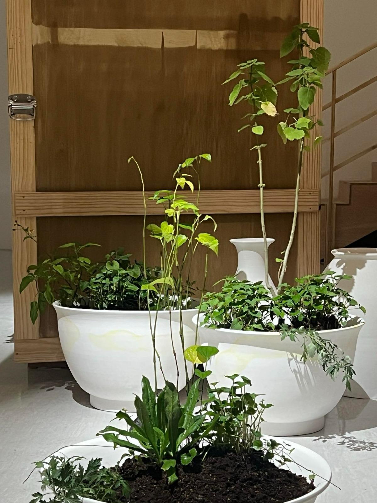 Picture of the artwork