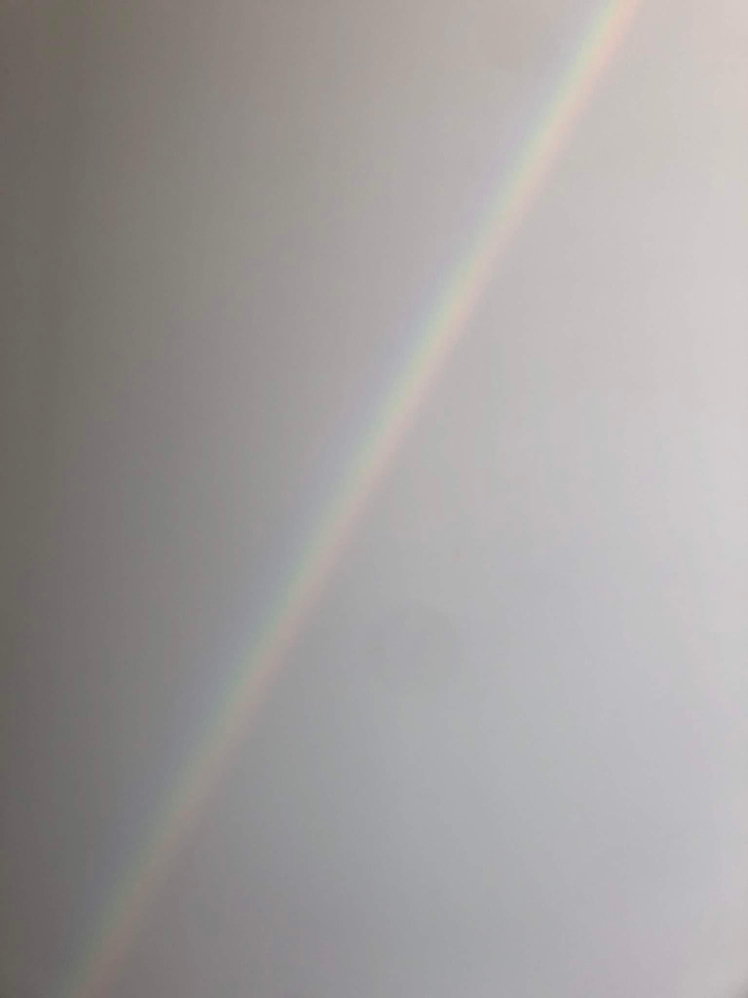 Picture of the artwork