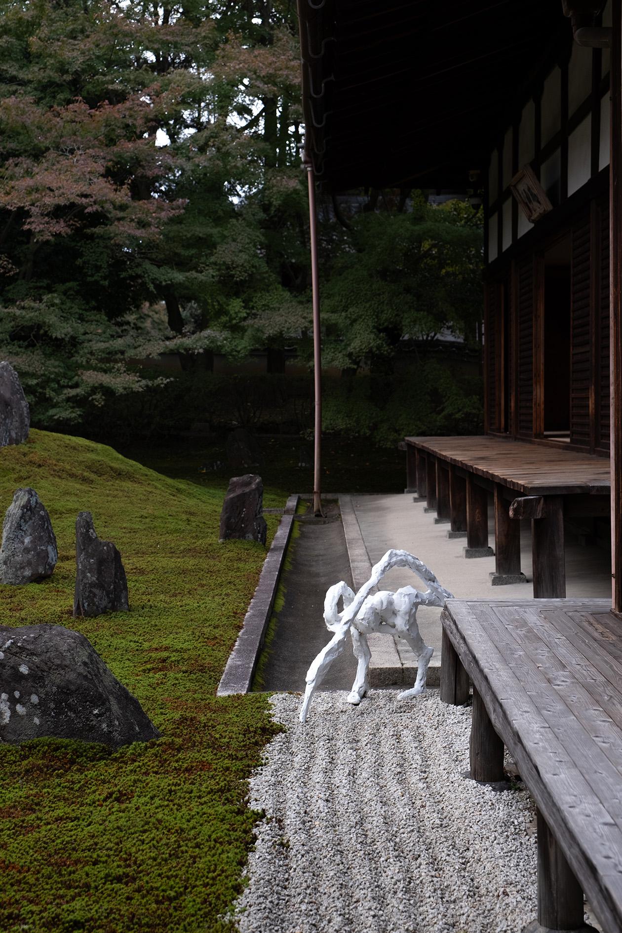 Picture of the artwork