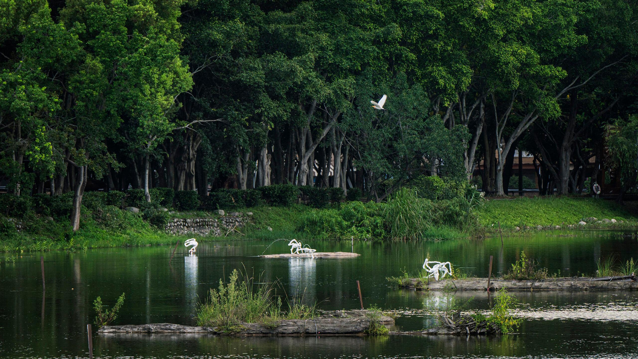 Picture of the artwork